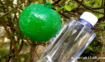 粘虫用热熔胶