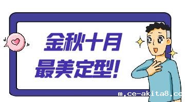 热熔胶,必威中文官网热熔胶